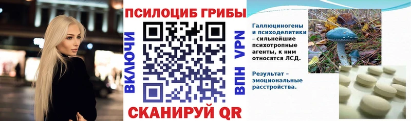 Купить закладки  Сосновый Бор  Псилоцибиновые грибы ЛСД 
